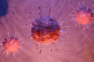 Virus corona dapat merusak otak dan menimbulkan gangguan jangka panjang.