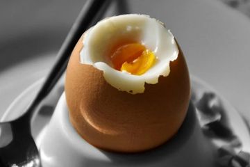 mitos vs fakta kehamilan tentang ibu hamil perlu makan banyak telur