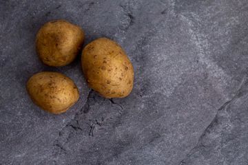 Tumbuhan Yang Berkembang Biak Dengan Umbi Batang Dan Contohnya Semua Halaman Kids