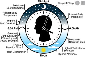 Cara Mudah dan Murah Selalu Sehat, Patuhi Body Clock alias Jam Biologis Tubuh