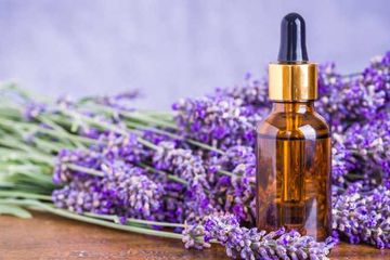 Manfaat minyak lavender bagi kulit dan mengusir nyamuk.