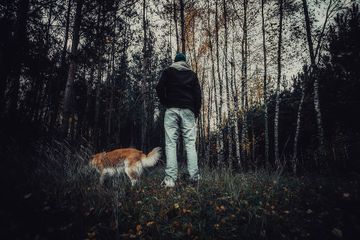 Dianggap Sebagai Mimpi Yang Menakutkan Inilah Tafsir Mimpi Tersesat Dan Tak Temukan Jalan Pulang Semua Halaman Suar Dianggap Sebagai Mimpi Yang Menakutkan Inilah Tafsir Mimpi Tersesat Dan Tak Temukan Jalan Pulang Semua Halaman Suar