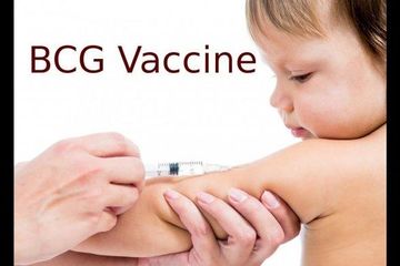 Vaksin BCG untuk mencegah TBC.