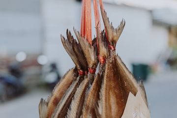Bolehkah Penderita Asam Urat Makan Ikan Asin? Simak Faktanya