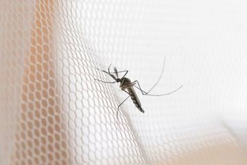 Cegah malaria.