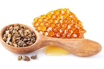 Studi menyebut produk lebah alami proplis memiliki potensi tinggi untuk pengobatan Covid-19.