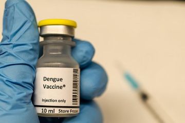  WHO merekomendasikan agar vaksin hanya diberikan kepada orang dengan mengkonfirmasi infeksi virus dengue sebelumnya.