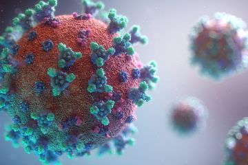 Ahli Epidemiologi: Setelah Covid-19 Akan Muncul Pandemi Mematikan Lain