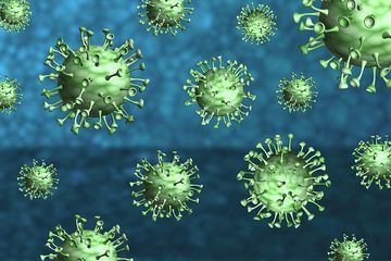 Cara virus corona bekerja dan menginfeksi sel otak sungguh mengerikan.