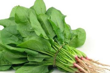 Daun Bayam Sebagai Obat Alami Memberikan 15 Khasiat Luar Biasa Bagi Tubuh