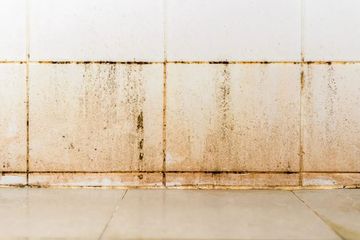 Jangan Salah Kaprah! Mimpi Melihat Kamar Mandi Kotor Ternyata Melambangkan  Rasa Malumu Akan Hal Ini