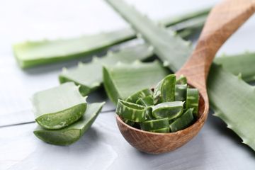 Konsumsi potongan kecil lidah buaya untuk mengatasi ketidaknyamanan saat kambuh.