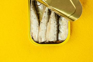 Ikan apa yang dikalengkan?