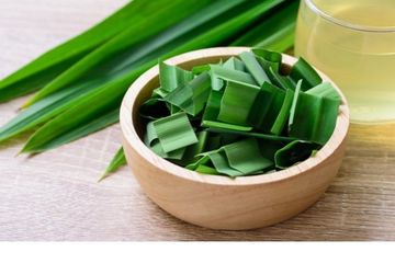 Manfaat Daun Pandan untuk Kesehatan, Sembuhkan Gula Darah dan Jantung!
