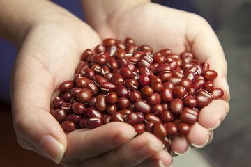 Tak hanya sayur, kacang merah juga baik dikonsumsi untuk menjaga kesehatan.