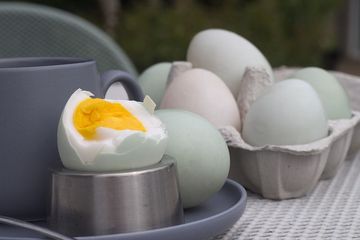 Telur asin dikenal sebagai makanan khas daerah