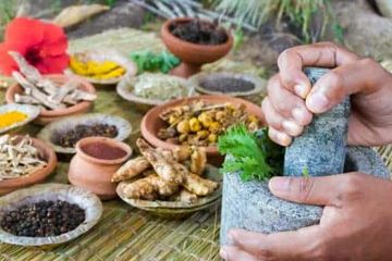 Obat Sahoeroe  dari Maluku Banyak Sembuhkan Pasien Covid-19 dalam Waktu 30 Menit