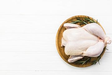 Infeksi bakteri salmonella bisa menyebabkan penyakit menular