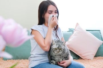 Mudahnya melakukan teknik titik pijat hidung tersumbat pada bagian kaki yang bisa dilakukan