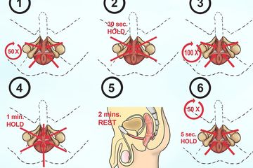 cara dan titik pijat penis, supaya keras dan tahan lama di ranjang.