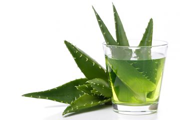 Menurunkan berat badan hingga puluhan kilogram dengan lidah buaya.