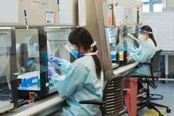 AS mempelajari virus corona dari kelelawar di laboratorium rahasia.