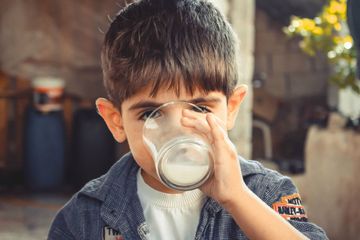 Catat sekarang, berikut ini 7 rekomendasi susu formula cokelat untuk anak usia 3 tahun.