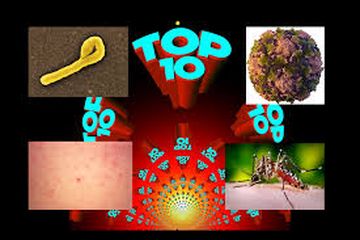 Tak Hanya Hepatitis Akut Misterius, WHO Tetapkan 10 Penyakit Sebagai KLB Sepanjang April 2022