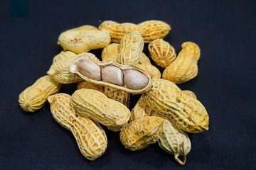 Manfaat Rutin Mengonsumsi Kacang Tanah Bagi Kesehatan Wanita, Ini Faktanya