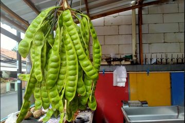 Manfaat petai untuk kesehatan