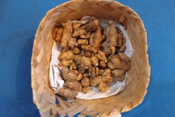 Tips mengolah kencur untuk mengatasi asam lambung