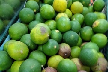 Manfaat jeruk nipis sebagai obat kuat