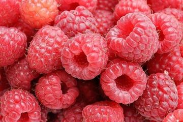 Buah berry dapat membakar lemak di perut lebih cepat.