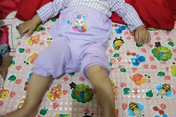 Perlak bayi yang bagus dan murah.