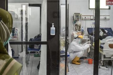 Penyakit infeksi misterius di Jakata disebabkan chikungnya, bukan dari tikus, tapi dari nyamuk.