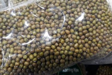 Cara menghilangkan uban dengan kacang hijau.