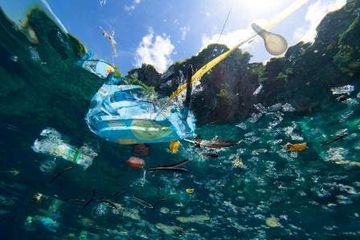 Laut jadi tempat pembuangan sampah plastik yang membuat penderitaan bagi mahluk yang ada di dalamnya. 