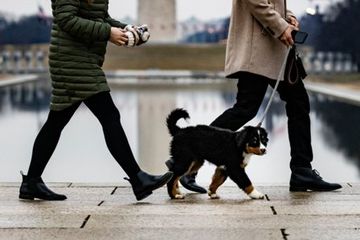 Tantangan TikTok 'Silly Litte Walk' memberi manfaat dari berjalan kaki.