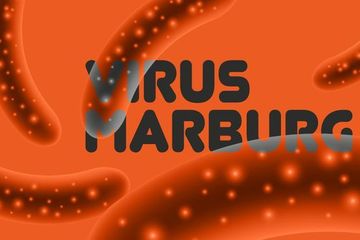 Virus marburg, WHO peringatkan waspada wabah. Gejal amirip demam berdarah.