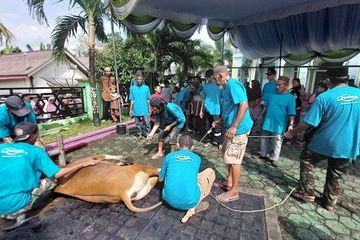 Sisa Pemotongan Hewan Dibuang Kemana? Bahaya Limbahnya Selain Merugikan Lingkungan, Juga Bisa Membuat Manusia Kejang Hingga Koma