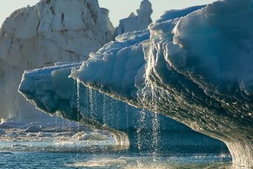 Melting Iceberg Pintu Gerbang Penyebaran Penyakit dan Pandemi