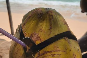 Benarkah air kelapa mampu mengobati campak.