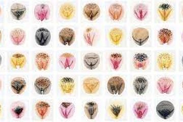 Vagina Paling Disukai Pria Seperti Ini Bentuknya, Bagiamana Jika ...