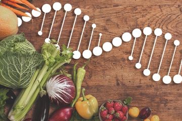 Diet Gen dengan Nutrigenomik, Kendalikan Berat Badan Juga Deteksi Dini Penyakit Kronis dan Menghindarinya