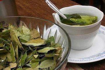Menurunkan kolesterol dengan minum rebusan daun salam setiap hari.