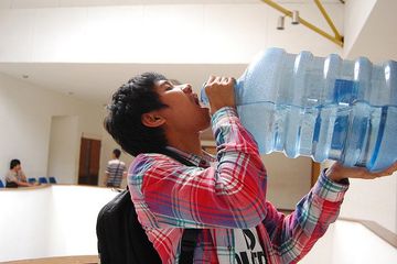 BPA yang larut hilang dalam kurun waktu 24 jam di dalam tubuh. Fakta lainnya BPA yang larut dalam produk pangan dari plastik polikarbonat hanya sedikit, sekitar 0,3 gram per liter.