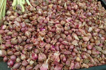 Obat diabetes alami dari bawang merah