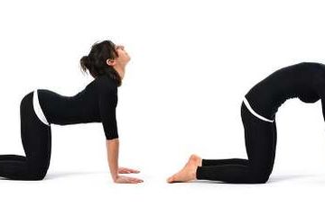Pose cat pose dalam yoga, peregangan yang membantu atasi nyeri punggung bawah.