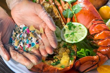 92% Makanan Laut Bangladesh Mengandung Mikroplastik, Bukti Alam Darurat Sampah Plastik? Ini Bahaya Kesehatan yang Mengintai