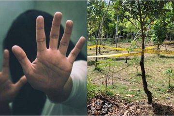 Bocah 11-13 Tahun Rudapaksa Bocah 13 Tahun di Hutan Kota, Kenali Dampak Fisik dan Psikologis Korban dan Pelaku Perkosaan di Bawah Umur